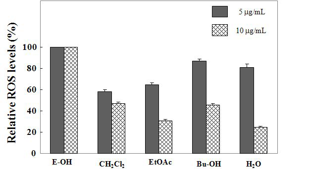 Inhibitory effects of Ecklonia stoloniferr fractions on ROS level