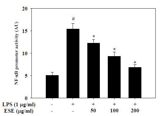 Effect of ESE on activation of NF-κB in RAW 264.7 cells