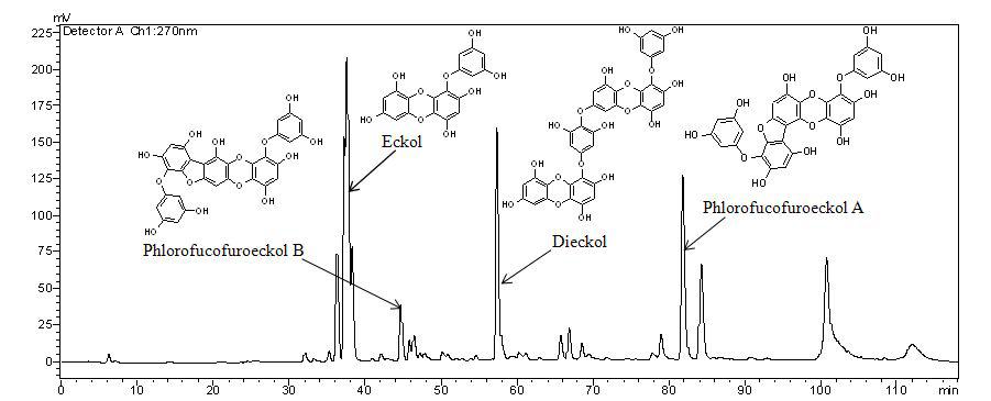 The representative HPLC chromatograms of ESE and chemical structures ofphlorotannins