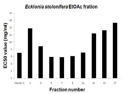 Chromatogram of 1 st silica gel column chromatograph form ethylacetagefractionfom E.stolonifera