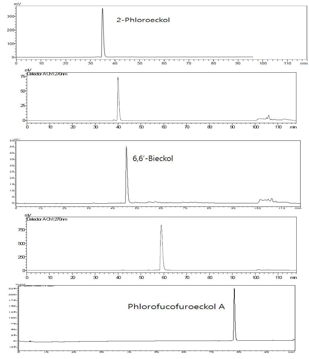 ODS chromatogram oftheisolatedphlorotannins