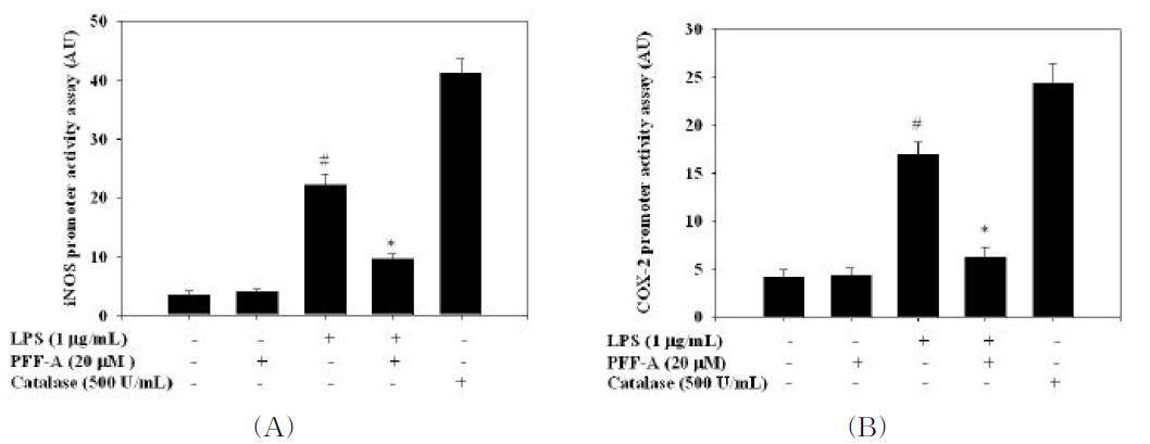 Effects of phlorofucofuroeckol A on the transcriptional regulations of iNOS and COX-2 in LPS-stimulated RAW 264.7 macrophages