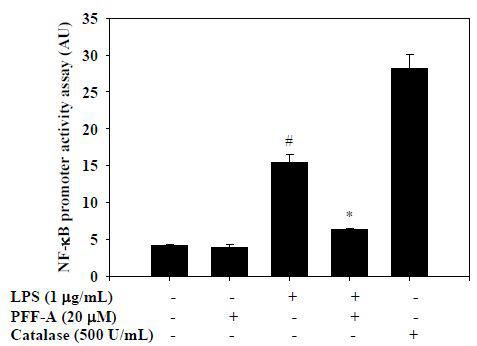 Effect of phlorofucofuroeckolA on activation of NF-κB in RAW 264.7 cells