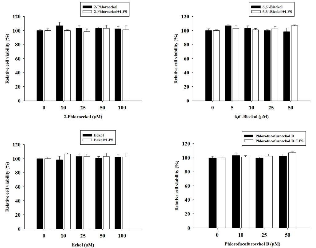 Cytotoxic effectof phlorotannis in RAW 264.7 macrophages