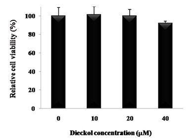 Effect of dieckol on cell viability of HepG2.