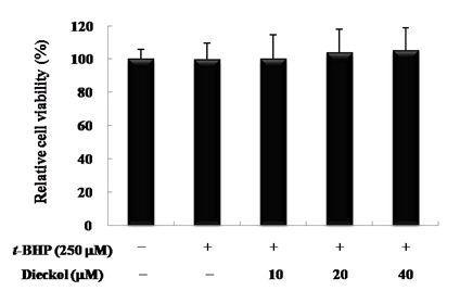 Effect of dieckol on cell viability of HepG2