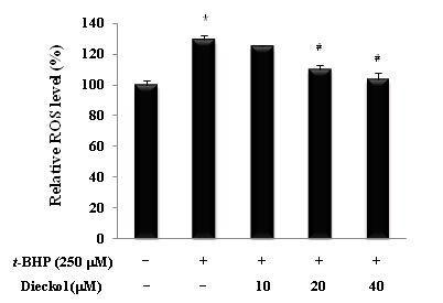 Effect of dieckol on t-BHP-induced intracellular ROS level.