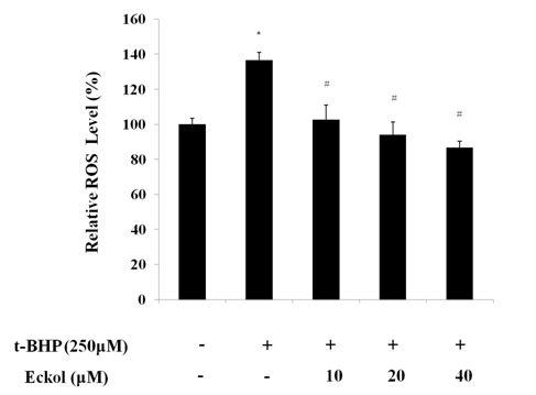 Effect of eckol ont-BHP-induced intracellular ROS level.