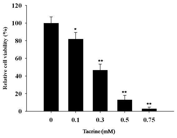 Effect of tacrine on HepG2 cells.