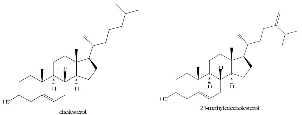 Chemical structures of cholesterol and 24-methylenecholsterol