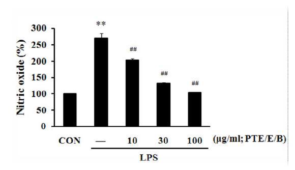 Effects of PTE/E/B on the production of NO by LPS.Data represent the mean ± S.D.with three separate experiments.