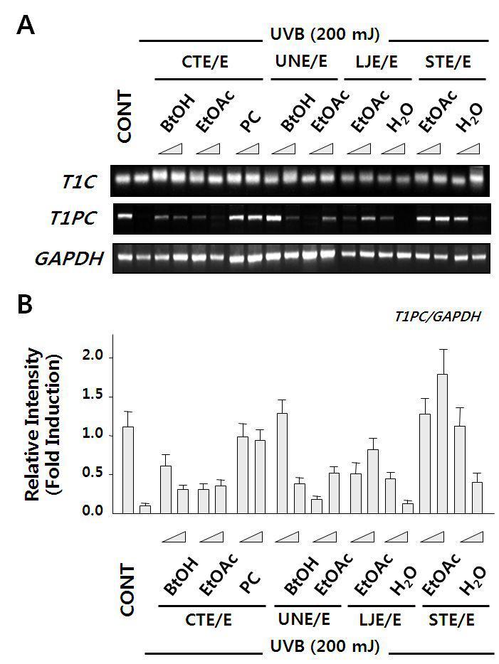 Effects of fractions and single compound from marine natural products on the UVB-decreased mRNA expression of type I collagenase and type I procolagenase in Balb/c mice
