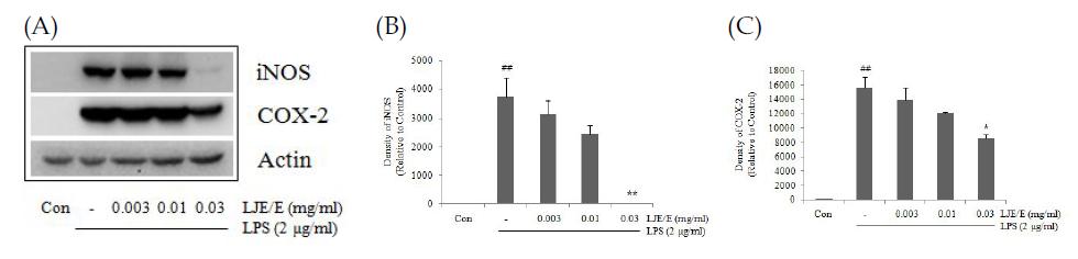 Effect of LJE/E on the expression of iNOS and COX-2 protein.