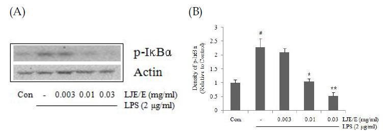 Effects of LJE/E on the induction of p-IκBα by LPS.