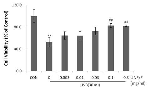 Effect of UNE/E on viability against UVB-induced cell toxicity in HaCaT cells