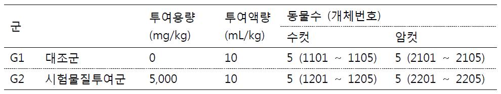 단회투여 독성 실험 군 구성