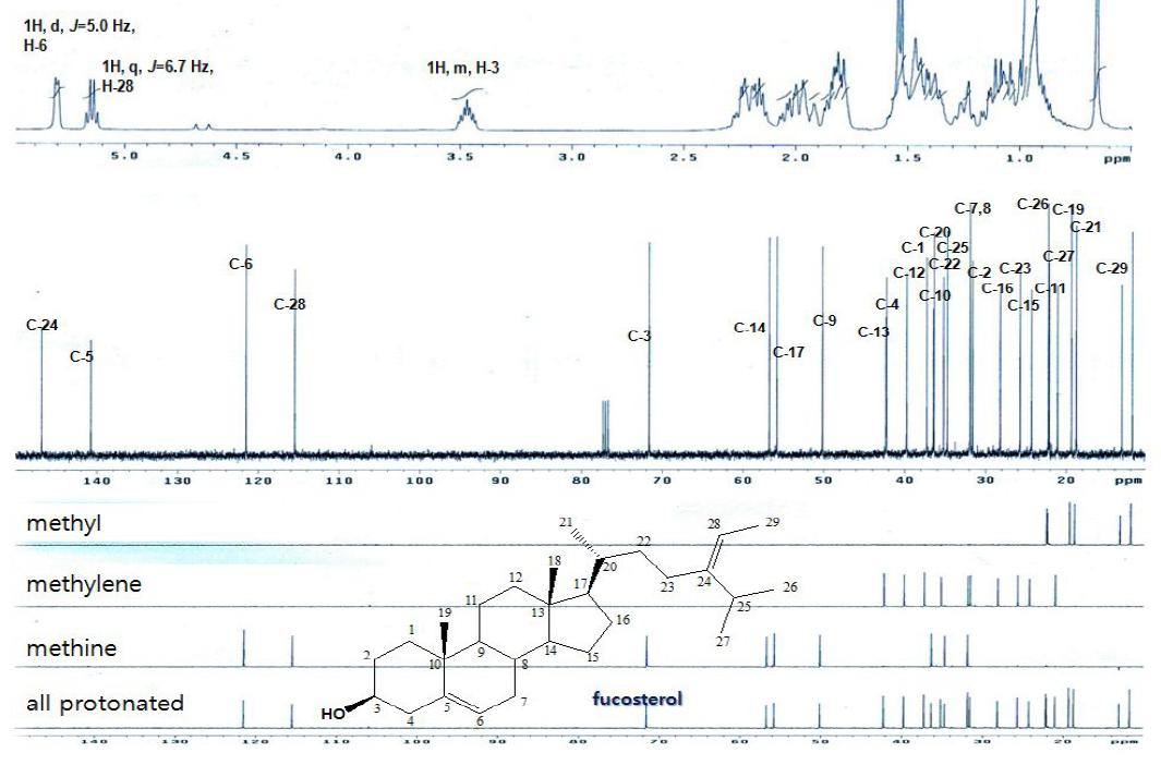 발효 톳의 phlorotannin분획물의 주요 성분인 푸코스테롤의 1H-NMR(400MHz)spectrum(위),fucosterol의 13C-NMR,DEPT(100MHz)spectrum(아래)