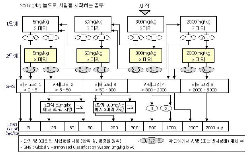 본시험 단계의 흐름도