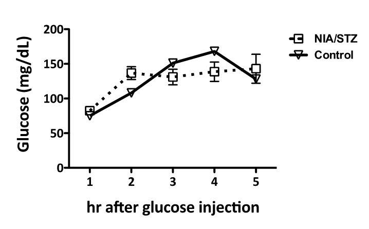 OGTT (Oral glucose tolerance test) analysis.