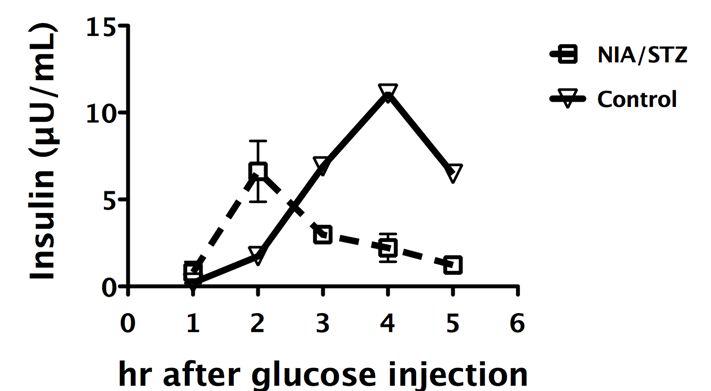 Serum insulin levels of fasting Micro-pigs were checked before feeding using ELISA