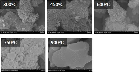 SEM images of RHS annealed at various temperatures