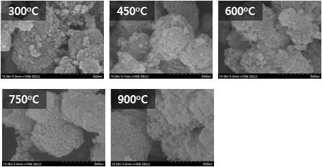 SEM images of acid-leached RHS(왕겨 실리카) annealed at various temperatures