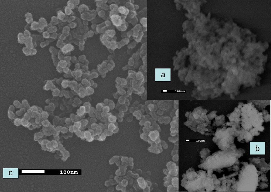 SEM images of SiO₂ from (a) acid, (b) alkaline hydrolysis residua and (c) neutralization product.