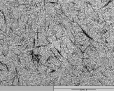 Transmission electron micrograph from diluted suspension of cellulose nanocrystals extracted from ricehusk fibres.