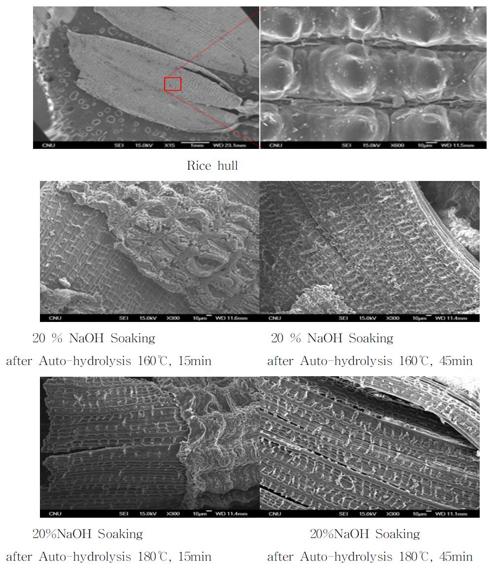 Change in surface of rice hull after NaOH soaking following auto-hydrolysis