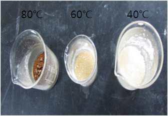 건조 온도에 따른 제품특성의 차이