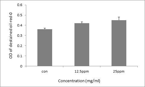 Destaining Isopropanol emulsion after the oil-red-O stain was analyzed at 515nm.