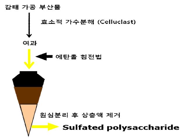 에탄올 침전법을 통한 감태 가공부산물 유래 황산 다당류의 대량 분리