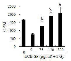 방사선 조사가 감소시킨 마우스 면역세포의 생존율 대한 ECB-SP의 효과