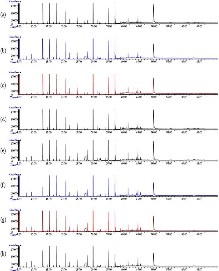 GC-MS total ion chromatograms of volatile compounds in 8 different soy sauce samples according to the microorganisms inoculated at different initial levels using solvent extraction