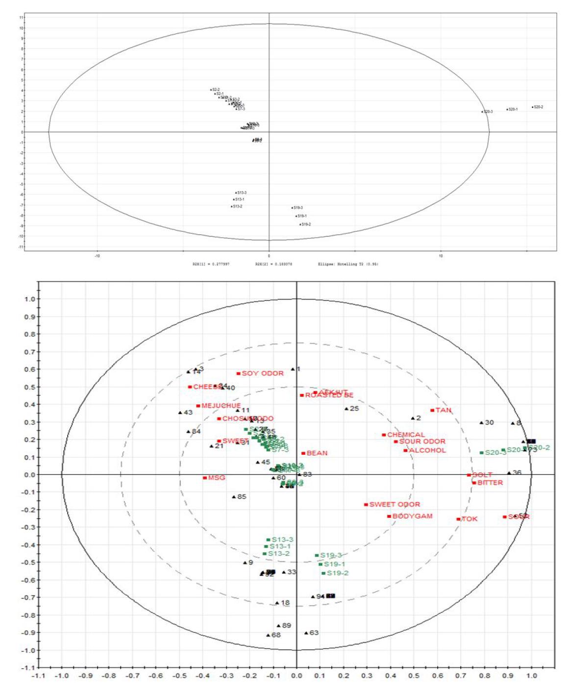 Relationship between volatile compounds from solvent extraction and sensory attributes of10 differentsamples in PLS plot