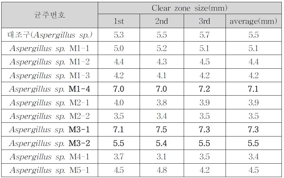 국균별 Amylase plate assay