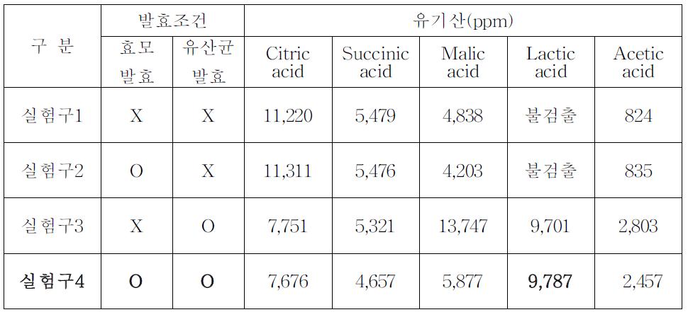 효모/유산균 발효 실험구간의 유기산 함량