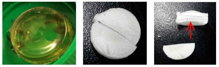 Visible appearance before freeze-drying (first image) and after high pressure shift freezing and drying