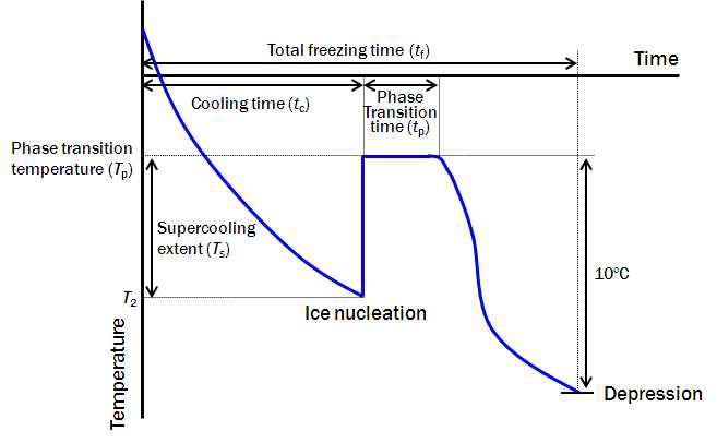 Schematic time-temperature profie at gelatin matrix.