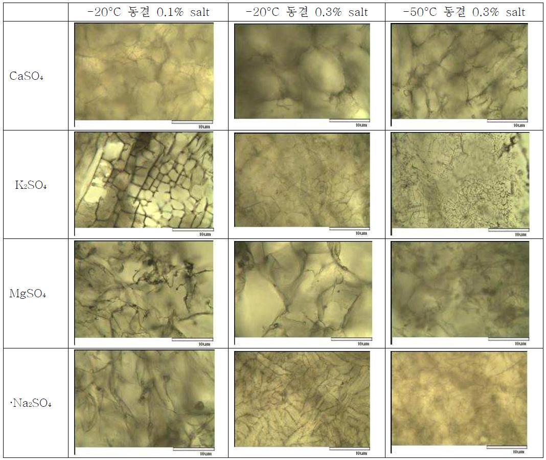 Morphology of gelatin matrix depending on the freezing temperature and gelatin and k-carrageenan with different type of salts at different pressure during freezing process.