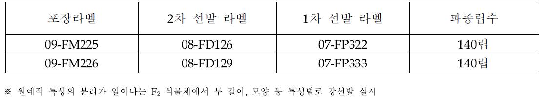 선발 자원 세대 진전 후대의 원예적 특성 조사 결과