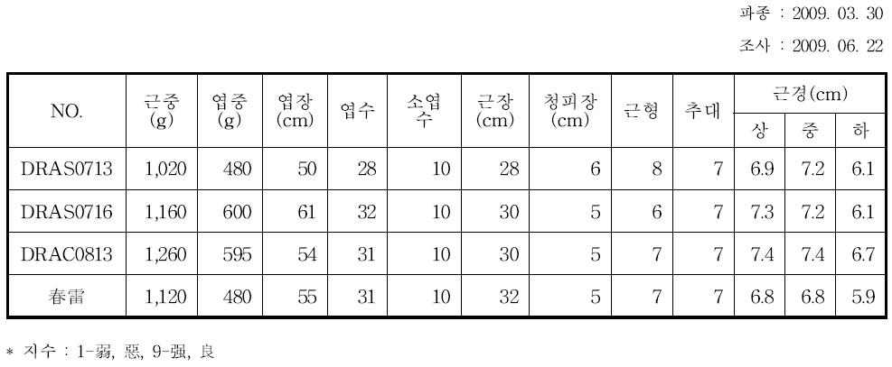 3차년도 국내 터널 봄무 성능검정