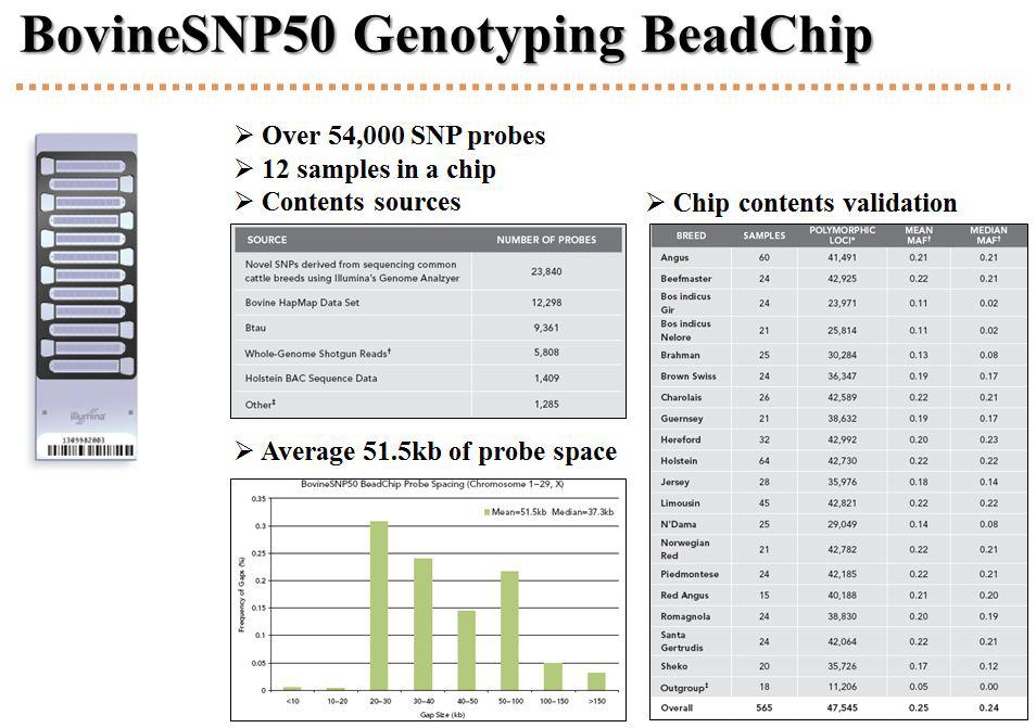Genome-wide SNP BeadChip for Bovine.