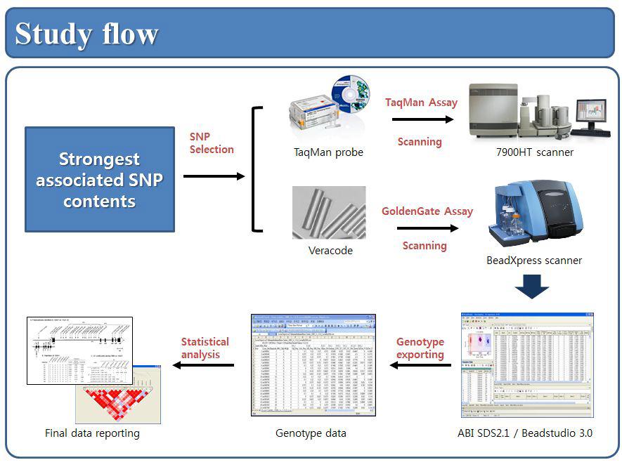 VeraCode technology를 활용한 Study flow