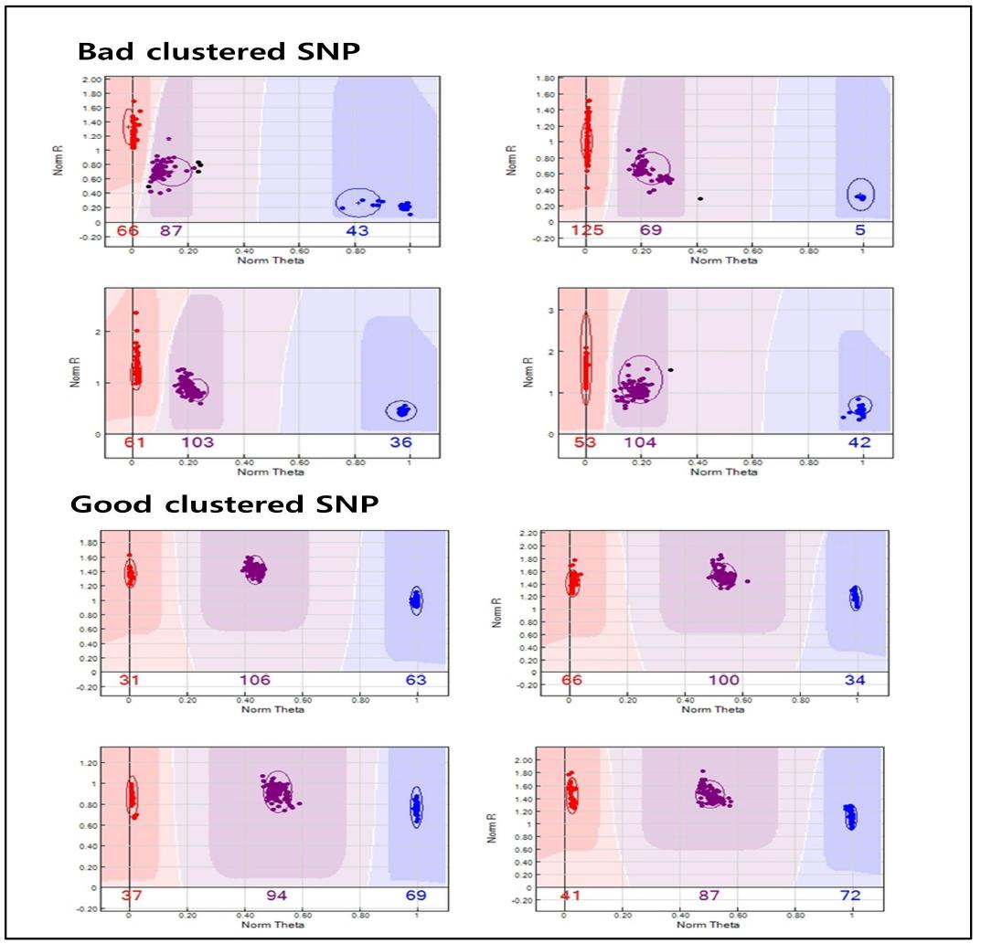 Genotype cluster