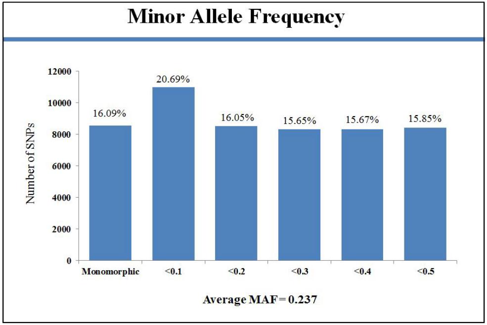 Minor allele frequency of Cow.