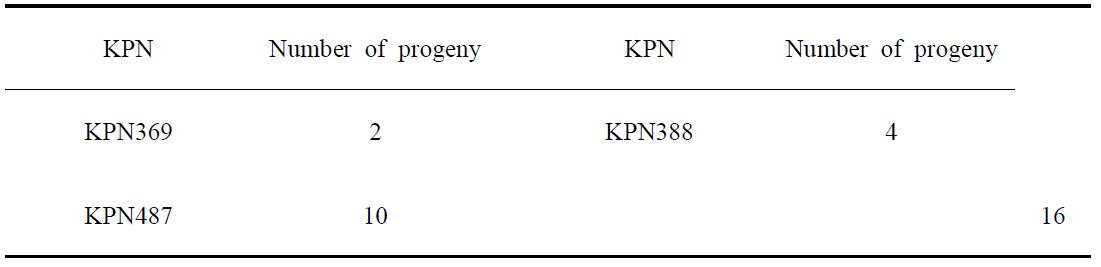 The number of KPN for 6 Jeongeup bulls