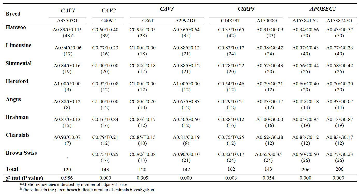 SNP allele frequencies for caveolin gene family (CAV1, CAV2 and CAV3), CSRP3 and APOBEC2 genes among eight different cattle breeds.