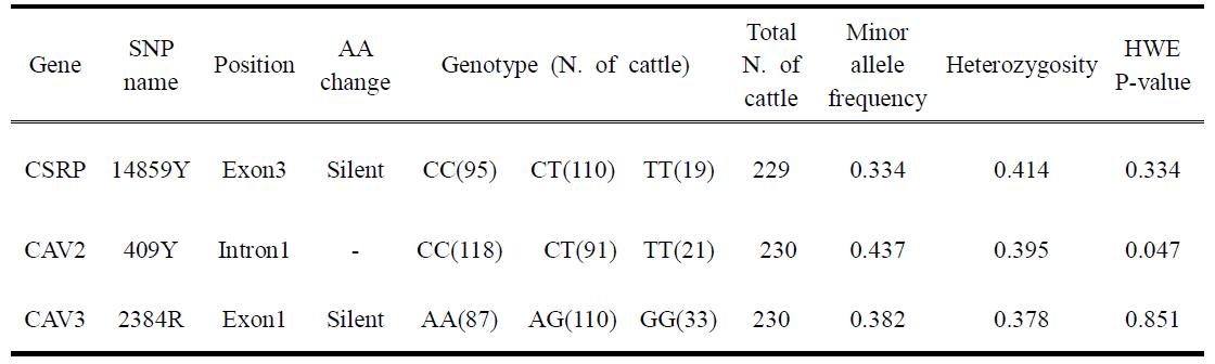 Genotypes and minor allele frequencies of 3 polymorphisms in CSRP3, CAV2 and CAV3 genotyped in Korean native cattle