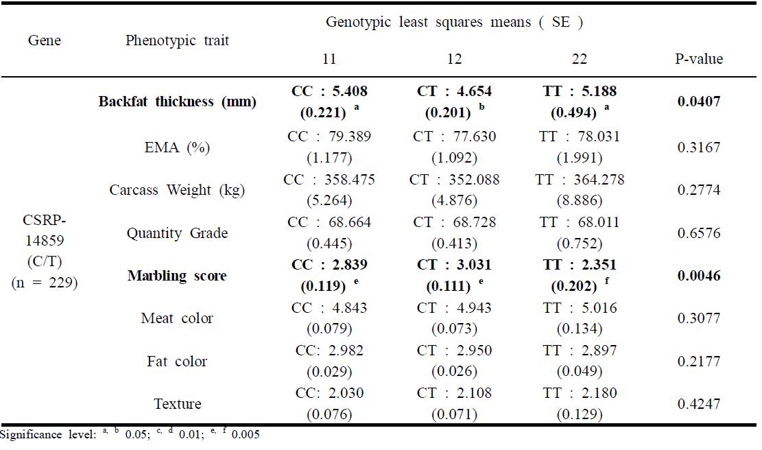 Association analyses of CSRP3 polymorphism with carcass traits among Korean cattle